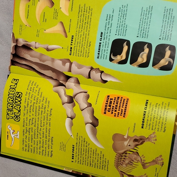 Build The T.Rex Book Build a 2 Foot Dinosaur - Picture 11 of 12